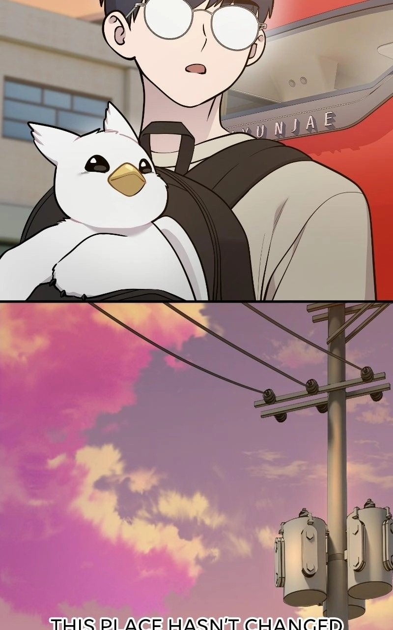 Hello, Fluffy Griffin! Chapter 48 page 41 - 