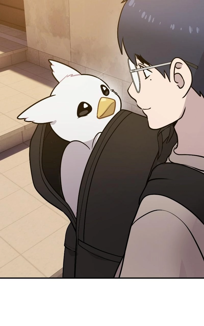 Hello, Fluffy Griffin! Chapter 48 page 49 - 