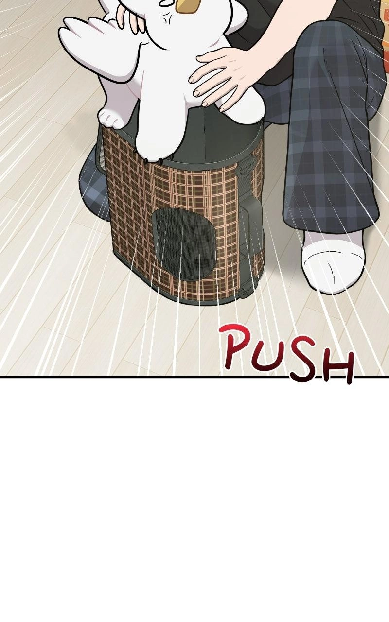 Hello, Fluffy Griffin! Chapter 48 page 6 - 