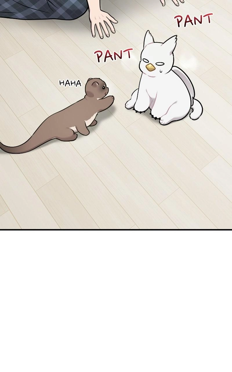Hello, Fluffy Griffin! Chapter 48 page 8 - 