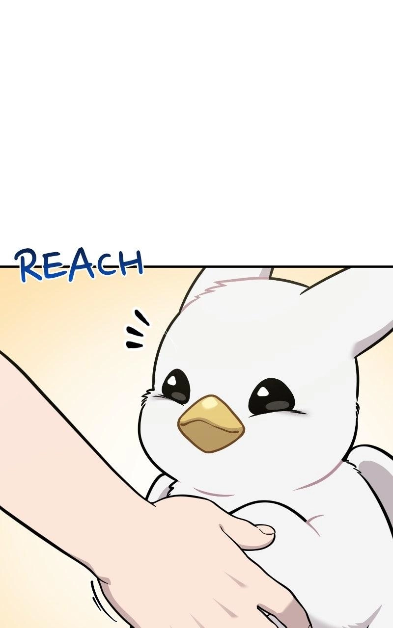 Hello, Fluffy Griffin! Chapter 49 page 53 - 