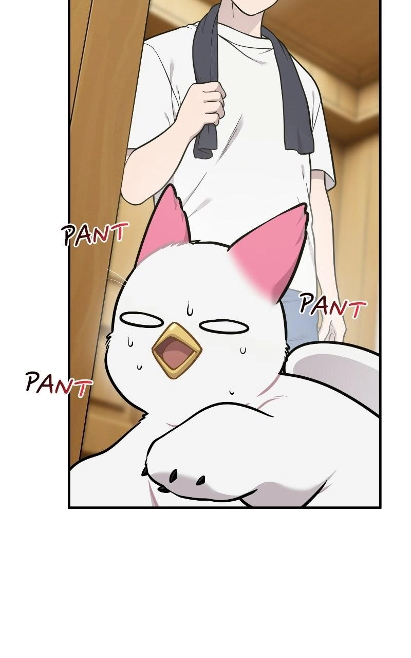 Hello, Fluffy Griffin! Chapter 50 page 11 - 