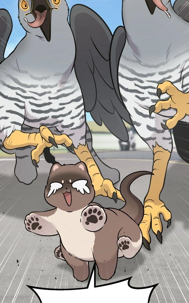 Hello, Fluffy Griffin! Chapter 50 page 102 - 