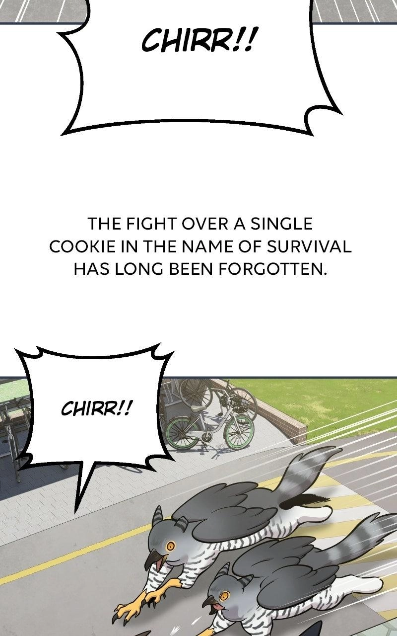 Hello, Fluffy Griffin! Chapter 50 page 103 - 