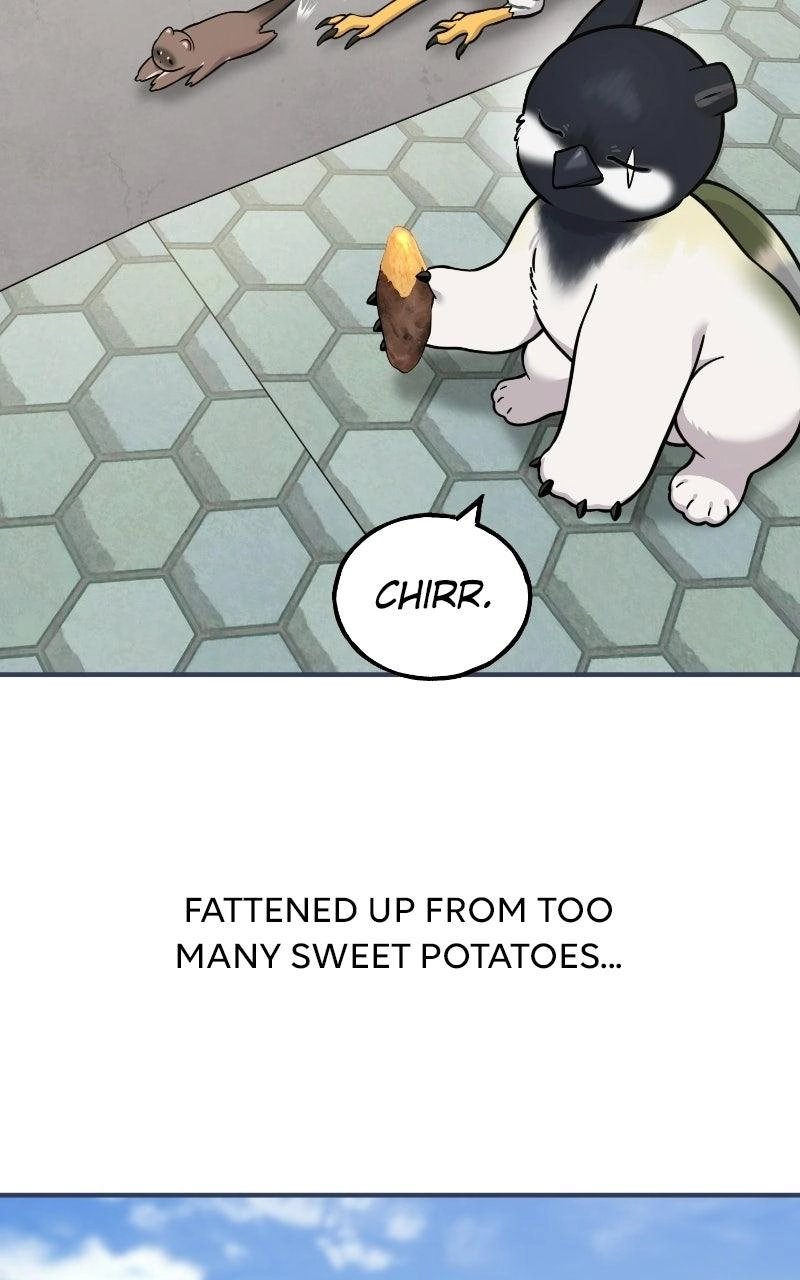 Hello, Fluffy Griffin! Chapter 50 page 104 - 