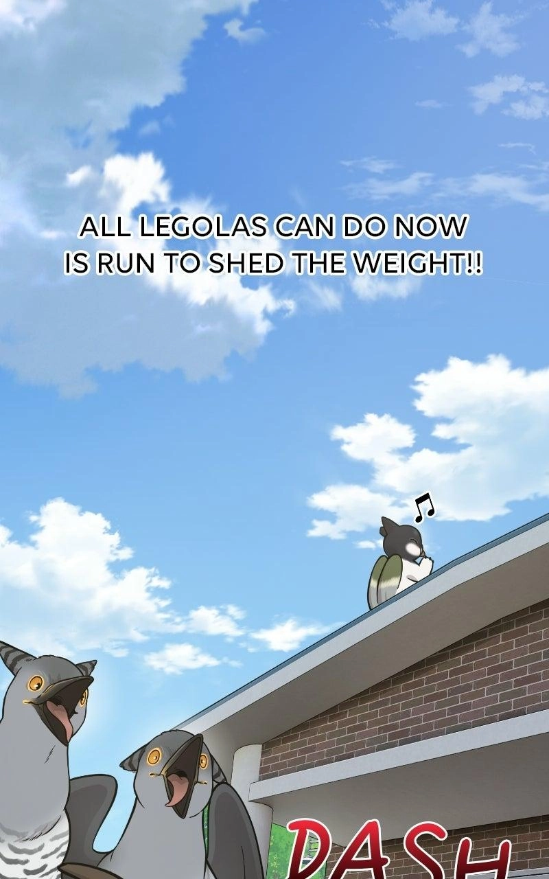 Hello, Fluffy Griffin! Chapter 50 page 107 - 