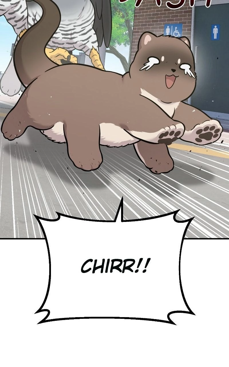 Hello, Fluffy Griffin! Chapter 50 page 108 - 