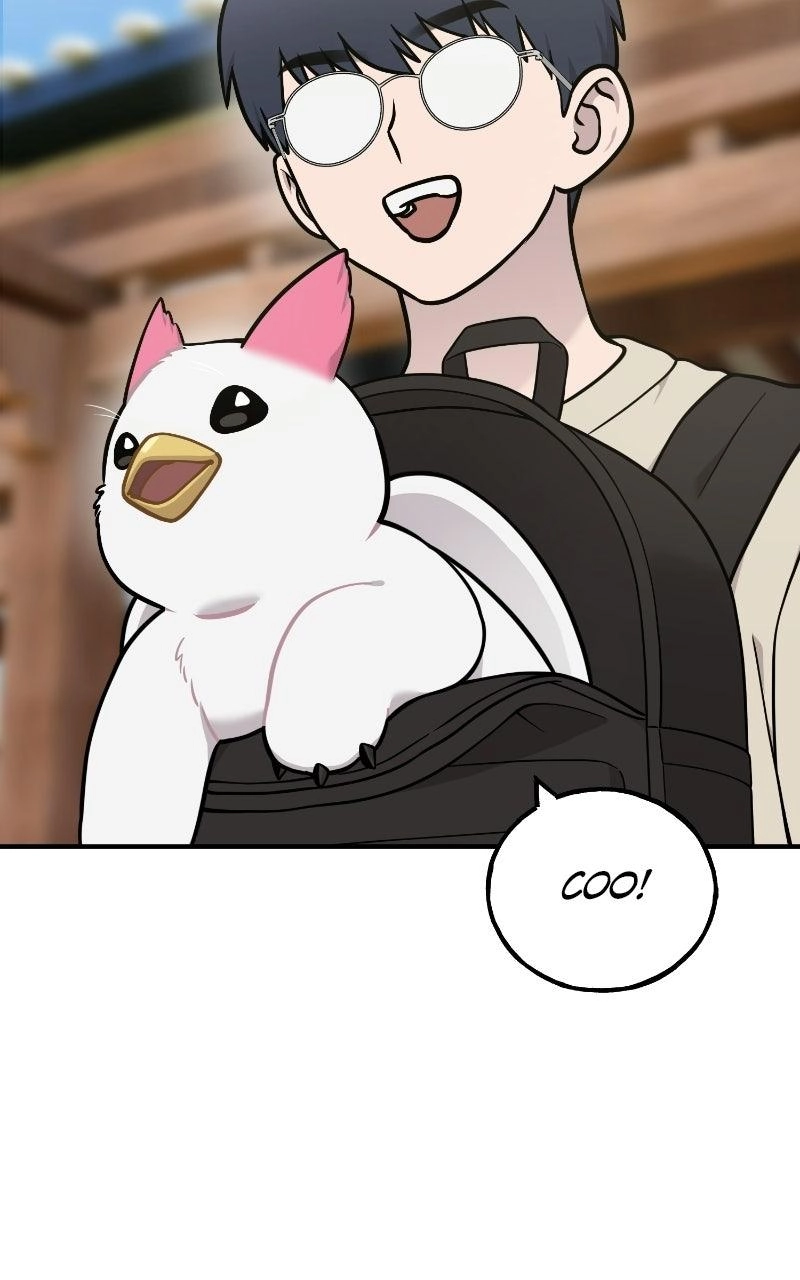 Hello, Fluffy Griffin! Chapter 50 page 43 - 