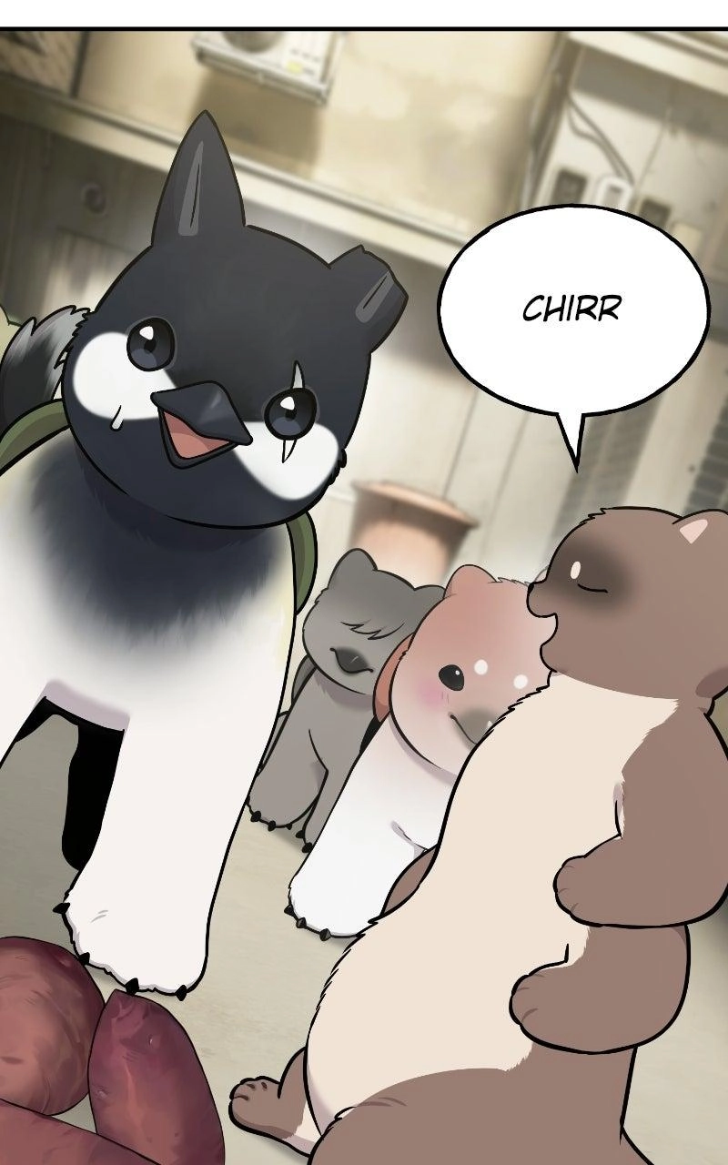 Hello, Fluffy Griffin! Chapter 50 page 74 - 