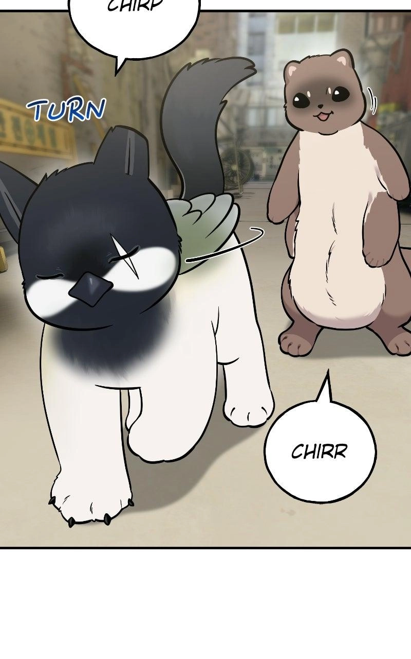 Hello, Fluffy Griffin! Chapter 50 page 79 - 