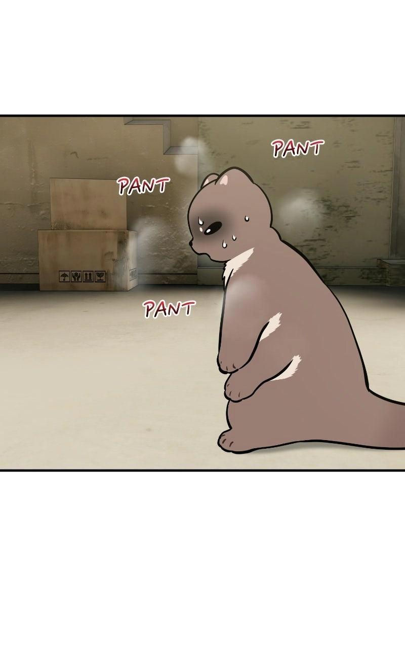 Hello, Fluffy Griffin! Chapter 50 page 81 - 