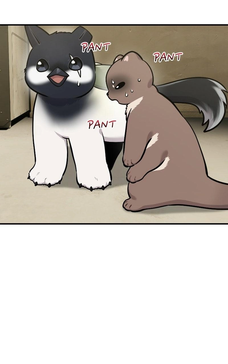 Hello, Fluffy Griffin! Chapter 50 page 83 - 