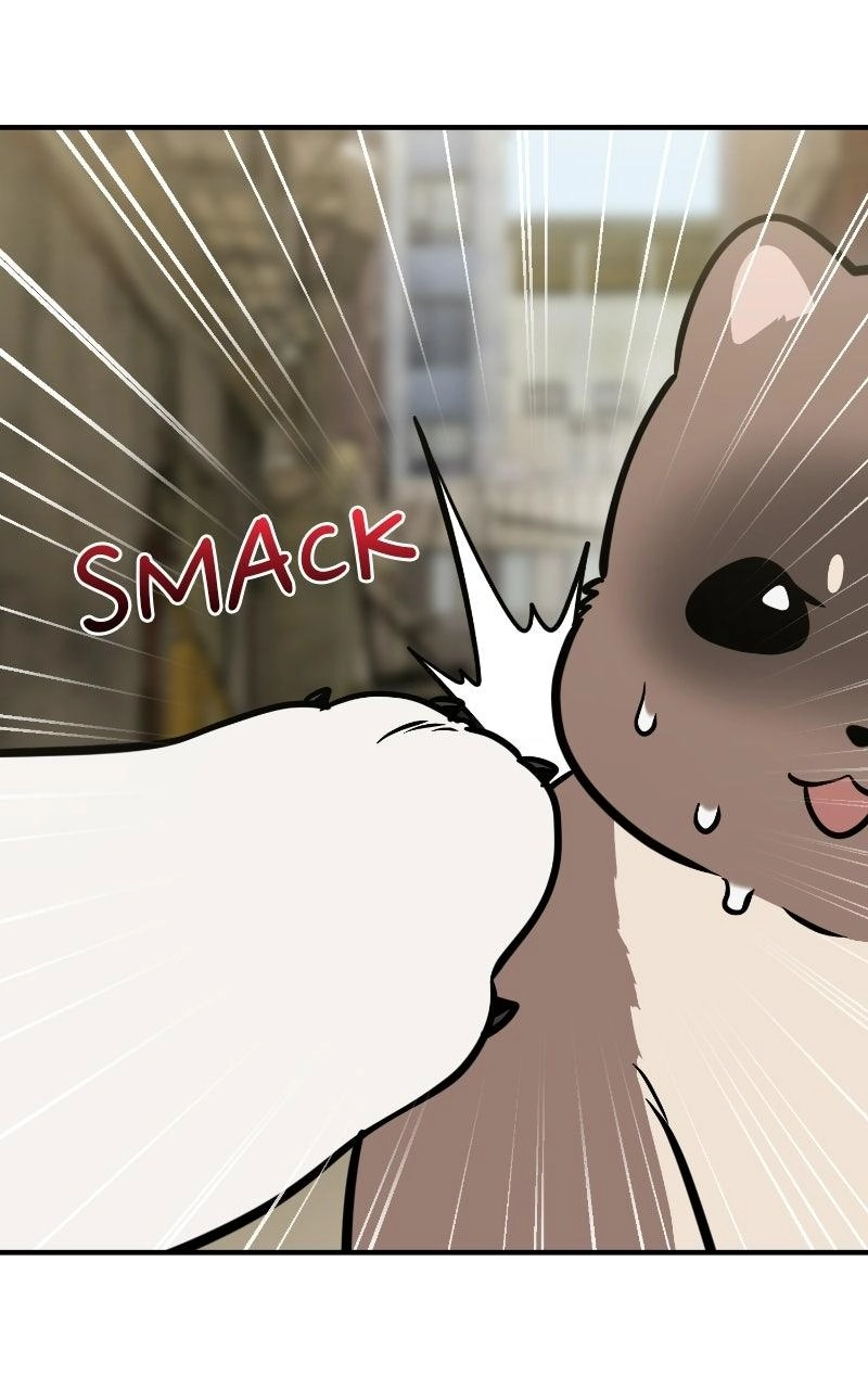 Hello, Fluffy Griffin! Chapter 50 page 84 - 