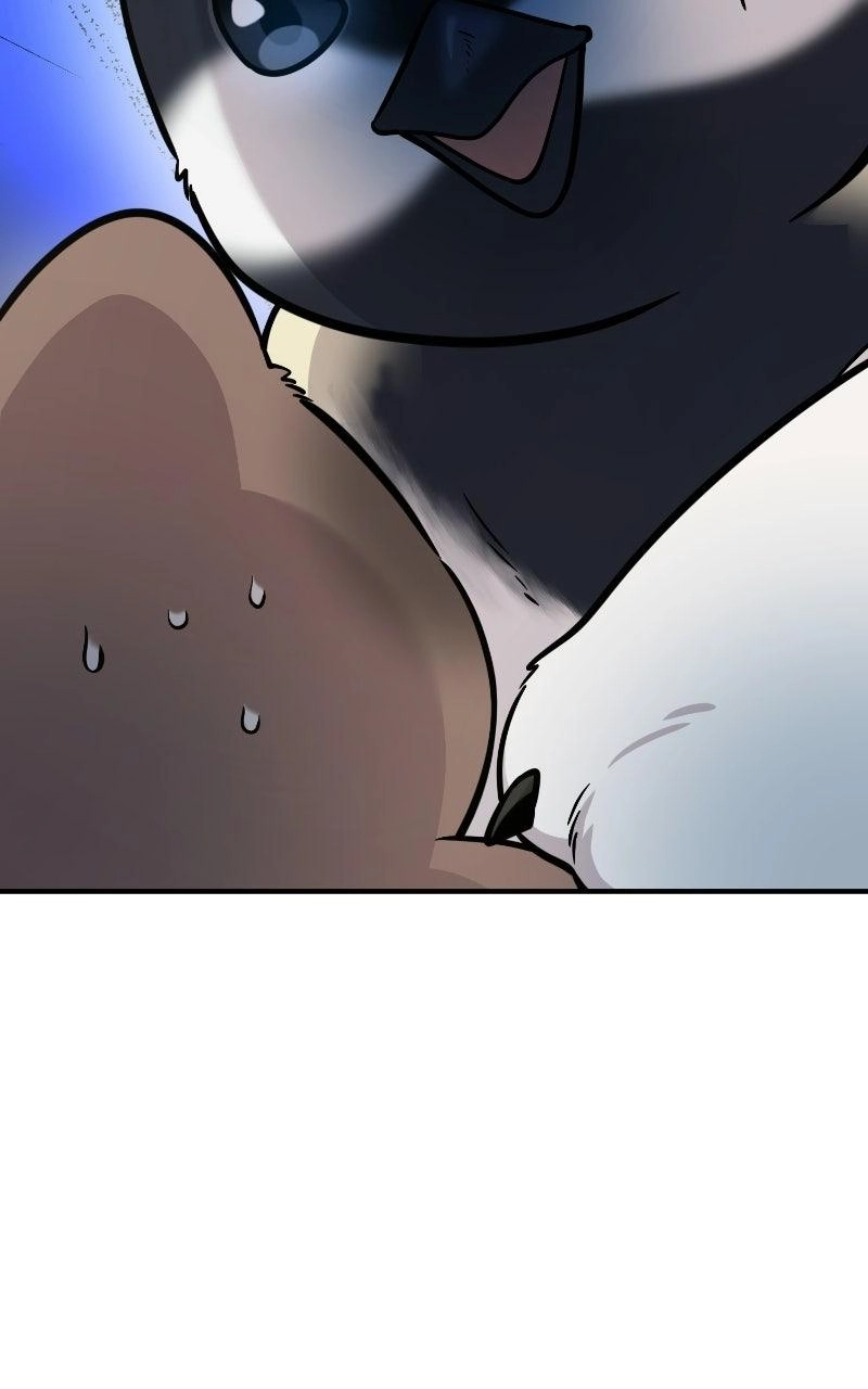Hello, Fluffy Griffin! Chapter 50 page 86 - 