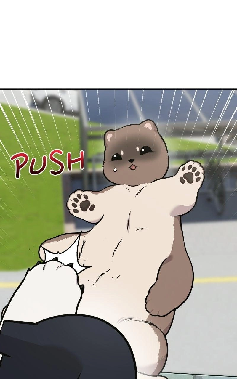 Hello, Fluffy Griffin! Chapter 50 page 91 - 