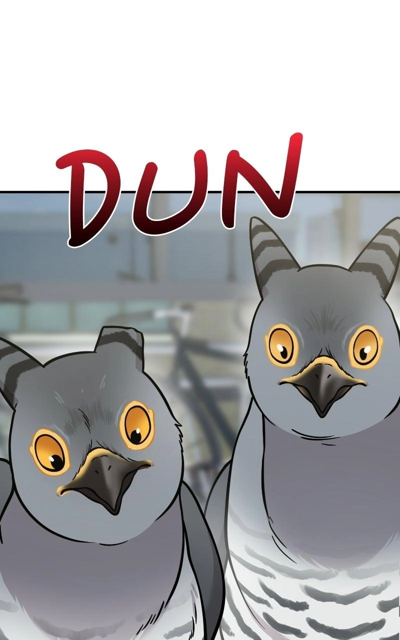 Hello, Fluffy Griffin! Chapter 50 page 98 - 