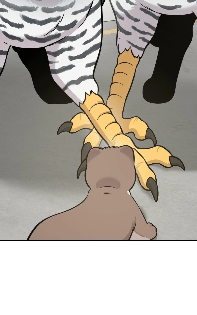 Hello, Fluffy Griffin! Chapter 50 page 99 - 