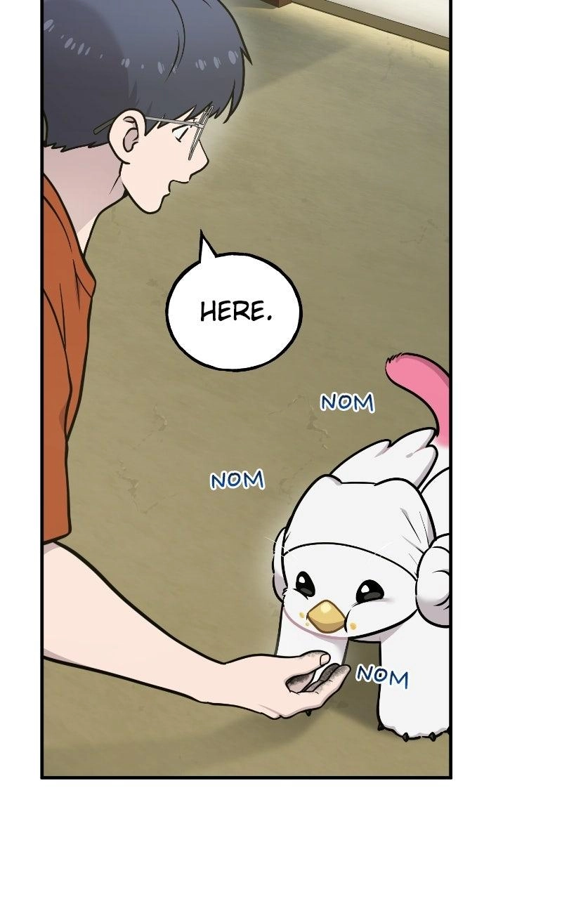 Hello, Fluffy Griffin! Chapter 51 page 29 - 