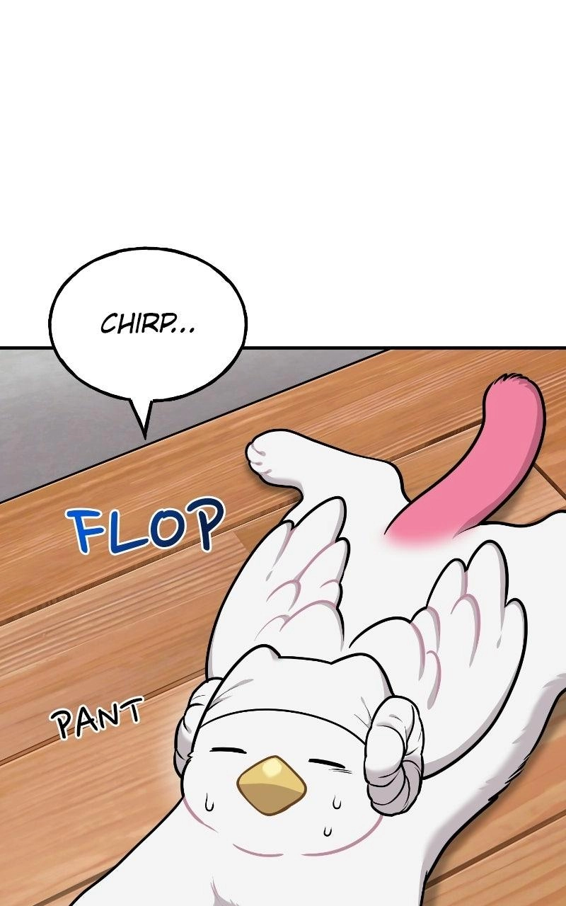 Hello, Fluffy Griffin! Chapter 51 page 50 - 