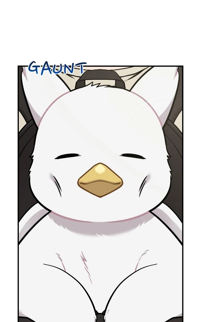 Hello, Fluffy Griffin! Chapter 51 page 60 - 