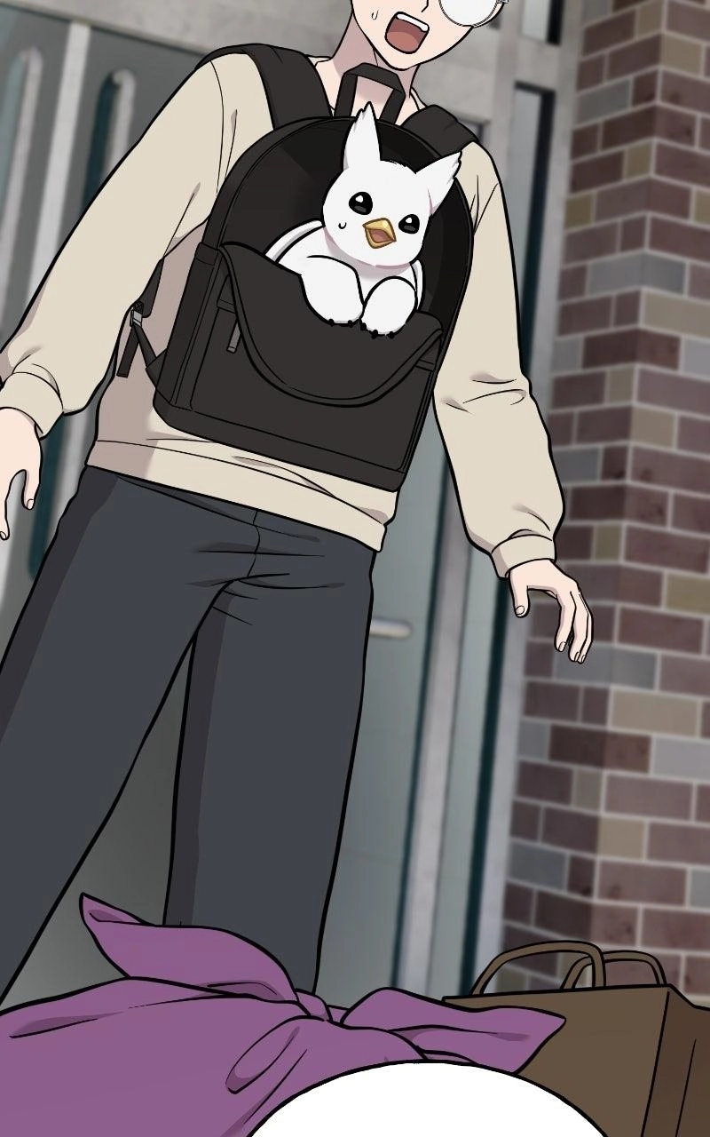 Hello, Fluffy Griffin! Chapter 51 page 68 - 