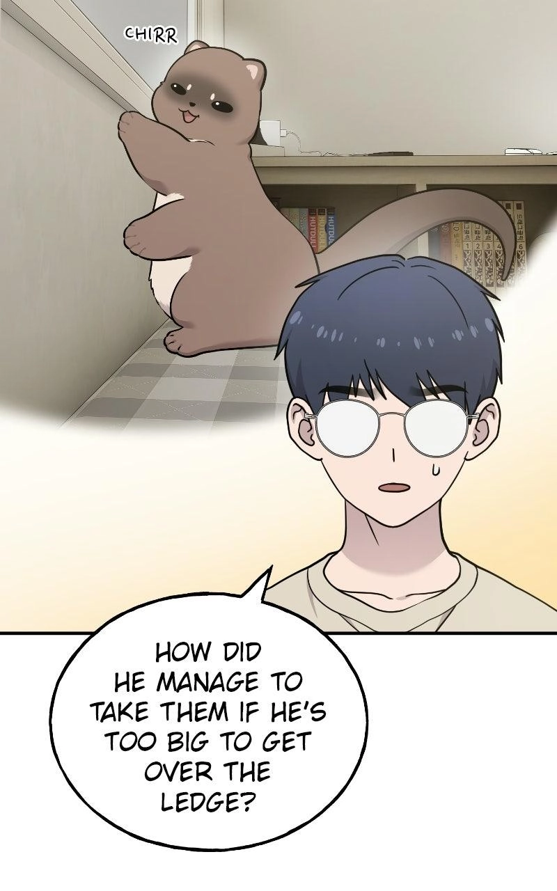 Hello, Fluffy Griffin! Chapter 51 page 82 - 
