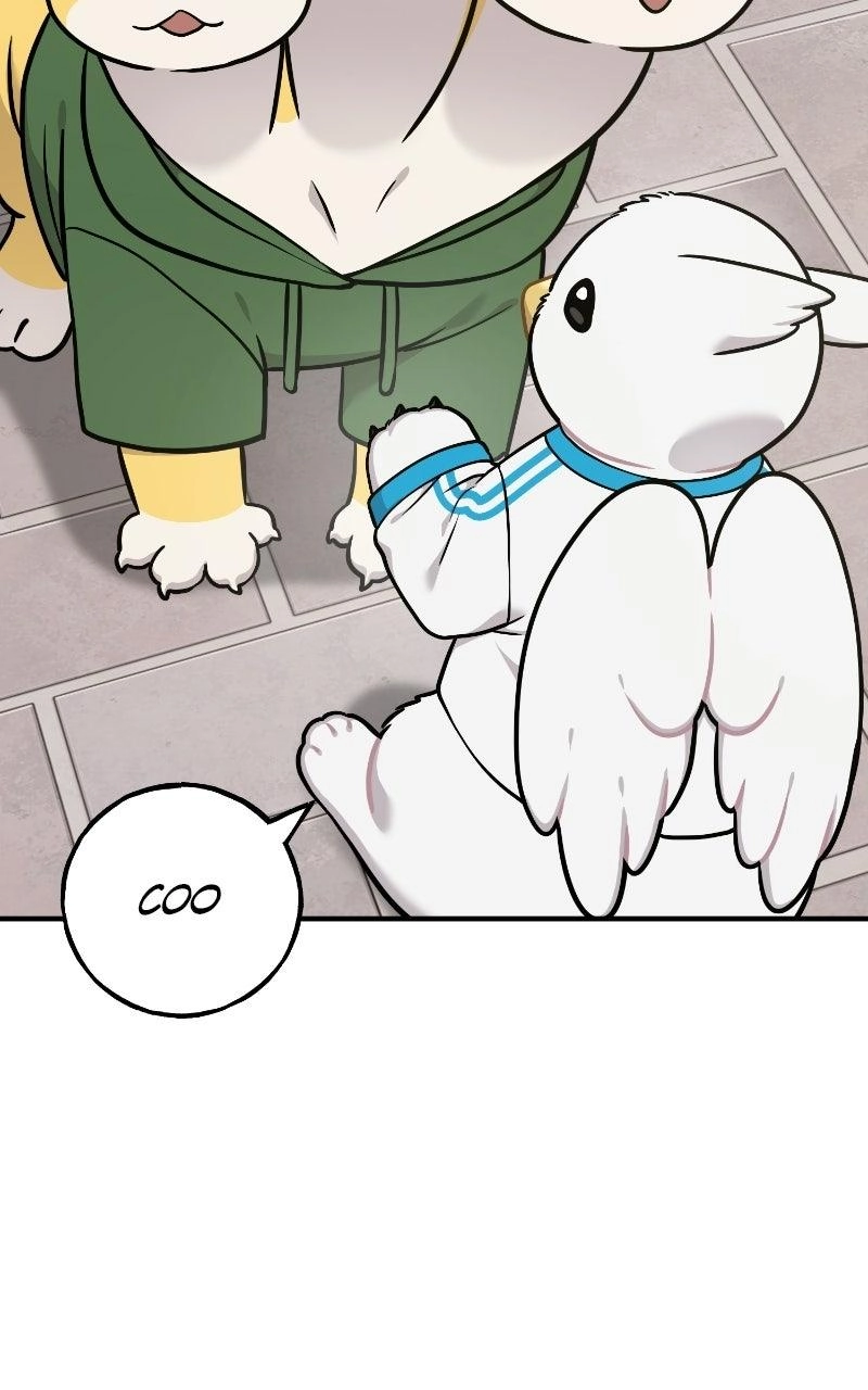 Hello, Fluffy Griffin! Chapter 52 page 54 - 