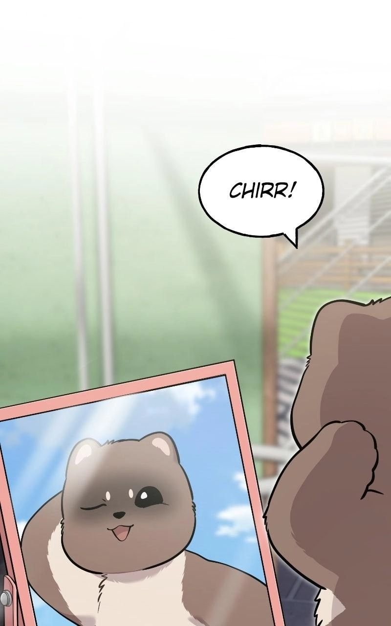 Hello, Fluffy Griffin! Chapter 52 page 63 - 