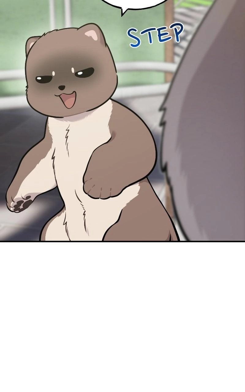 Hello, Fluffy Griffin! Chapter 52 page 65 - 