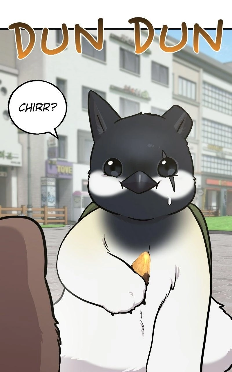 Hello, Fluffy Griffin! Chapter 52 page 66 - 