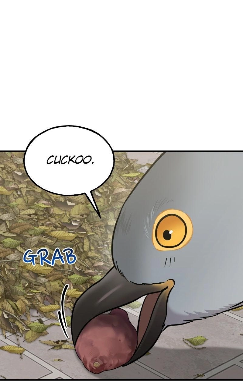 Hello, Fluffy Griffin! Chapter 52 page 71 - 