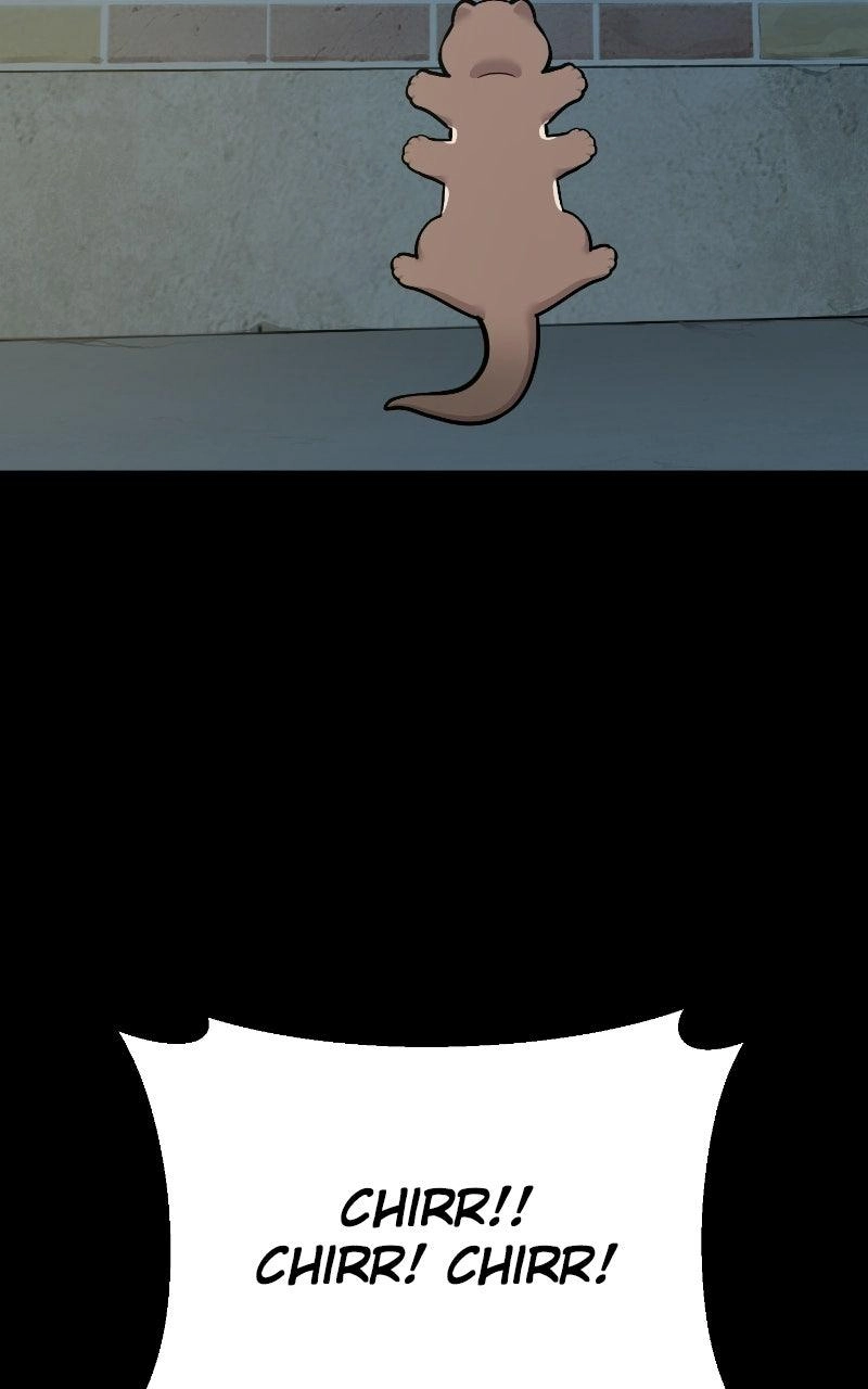 Hello, Fluffy Griffin! Chapter 52 page 86 - 