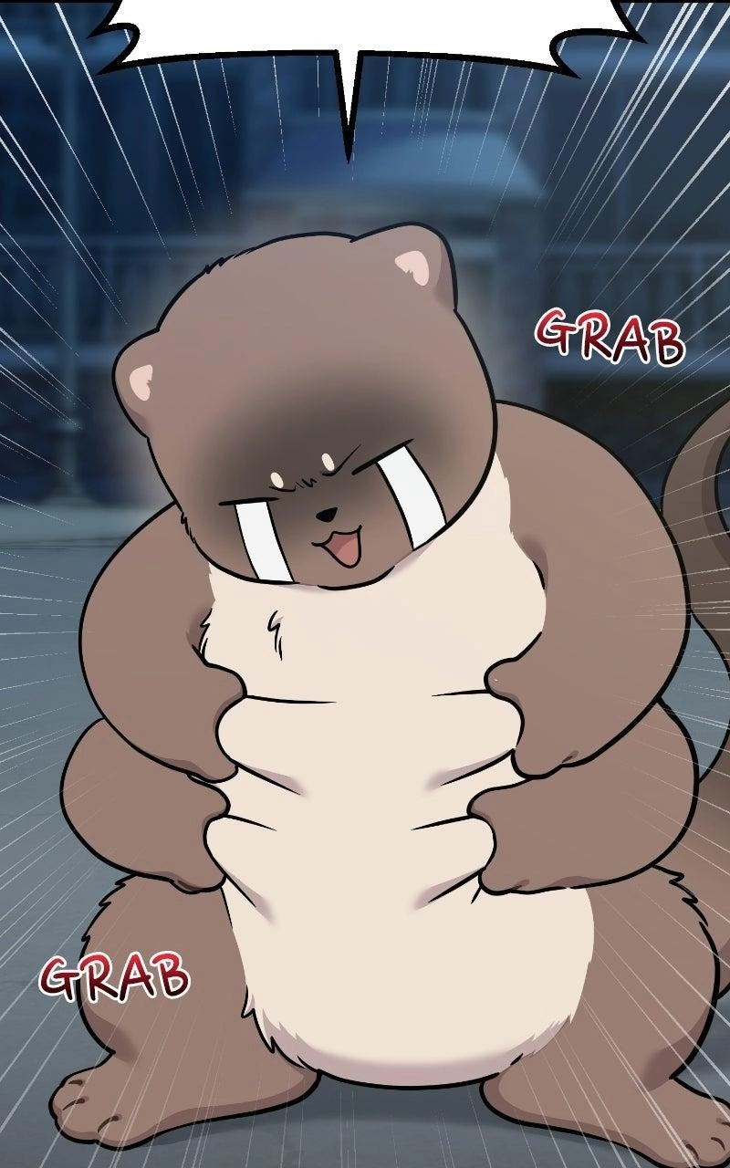 Hello, Fluffy Griffin! Chapter 52 page 87 - 