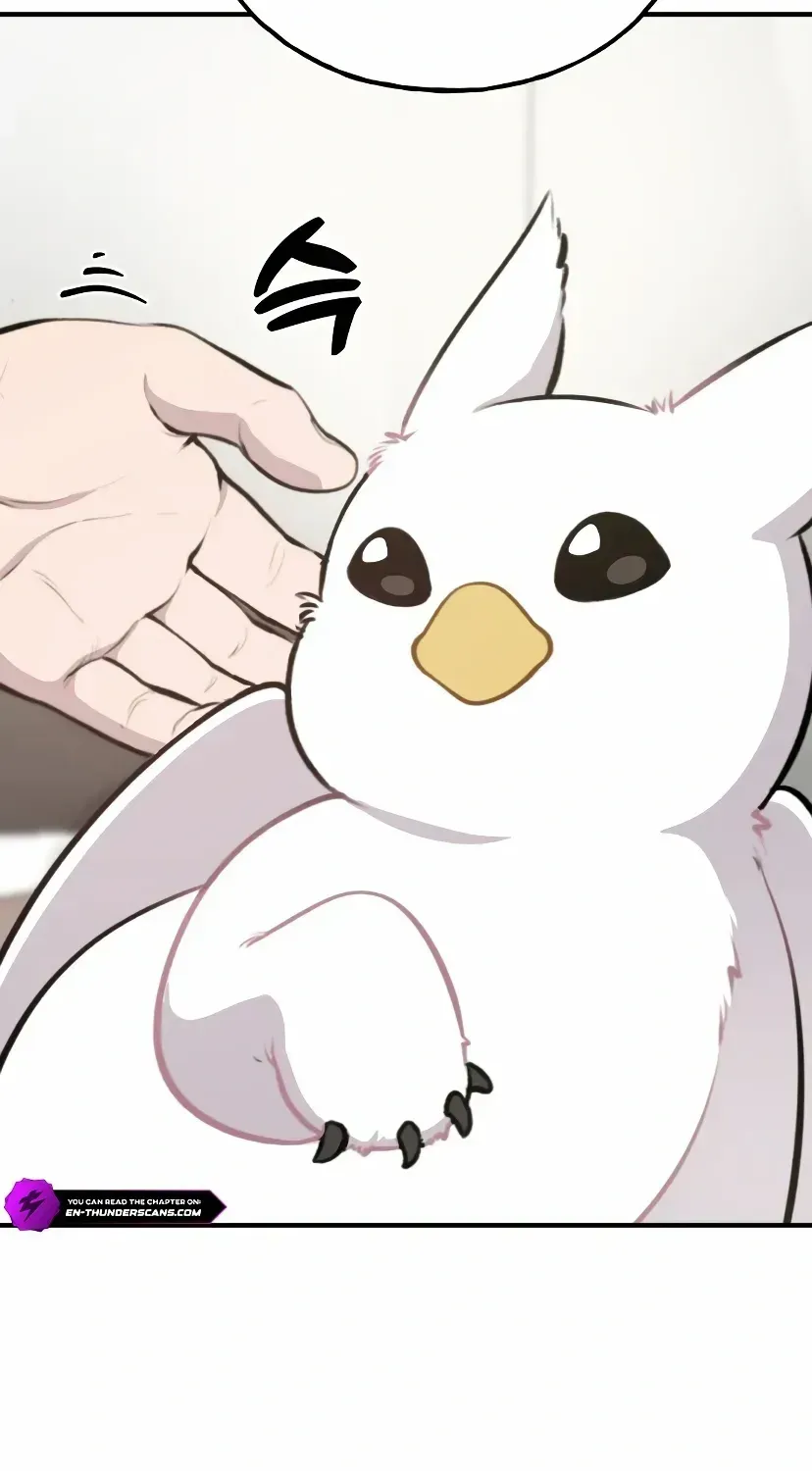 Hello, Griffin the Fluffy Bird! Chapter 1.1 page 46 - 