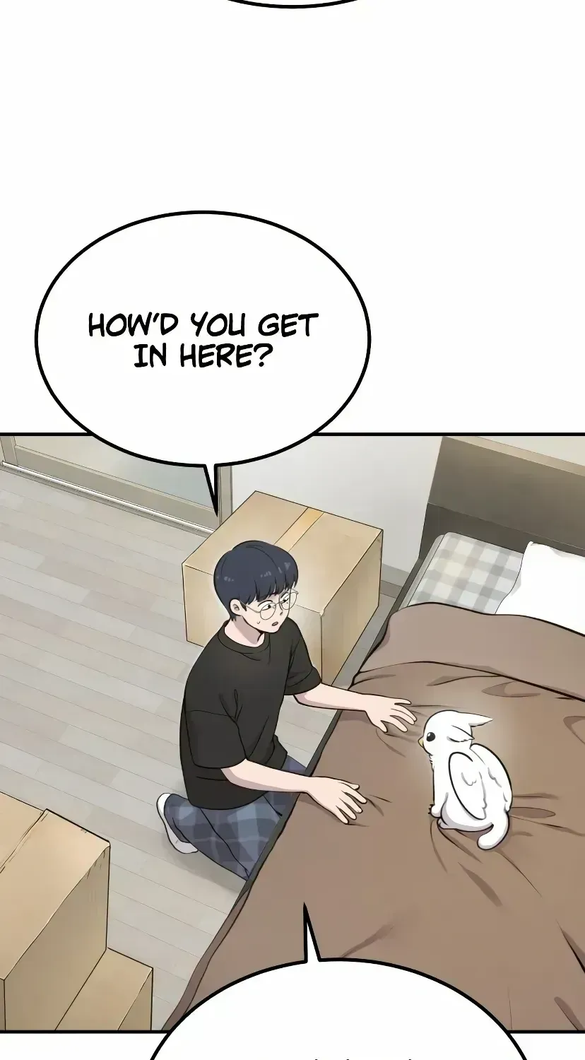 Hello, Griffin the Fluffy Bird! Chapter 1.2 page 36 - 