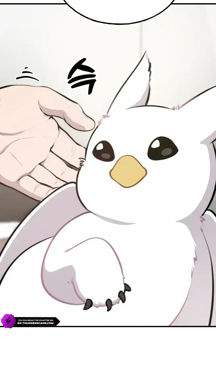 Hello, Griffin the Fluffy Bird! Chapter 1.3 page 46 - 