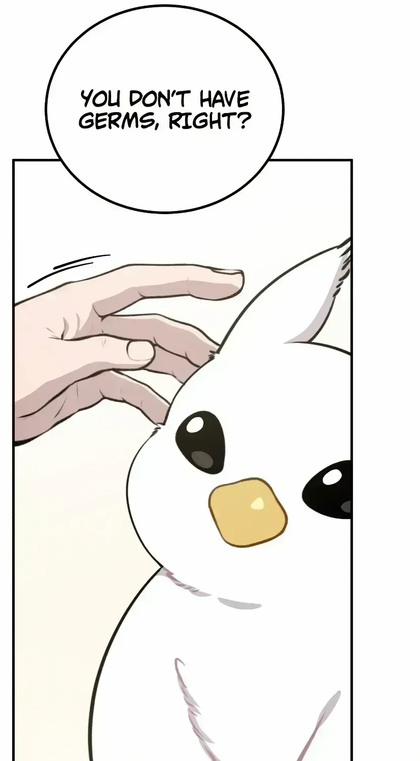 Hello, Griffin the Fluffy Bird! Chapter 1.4 page 40 - 