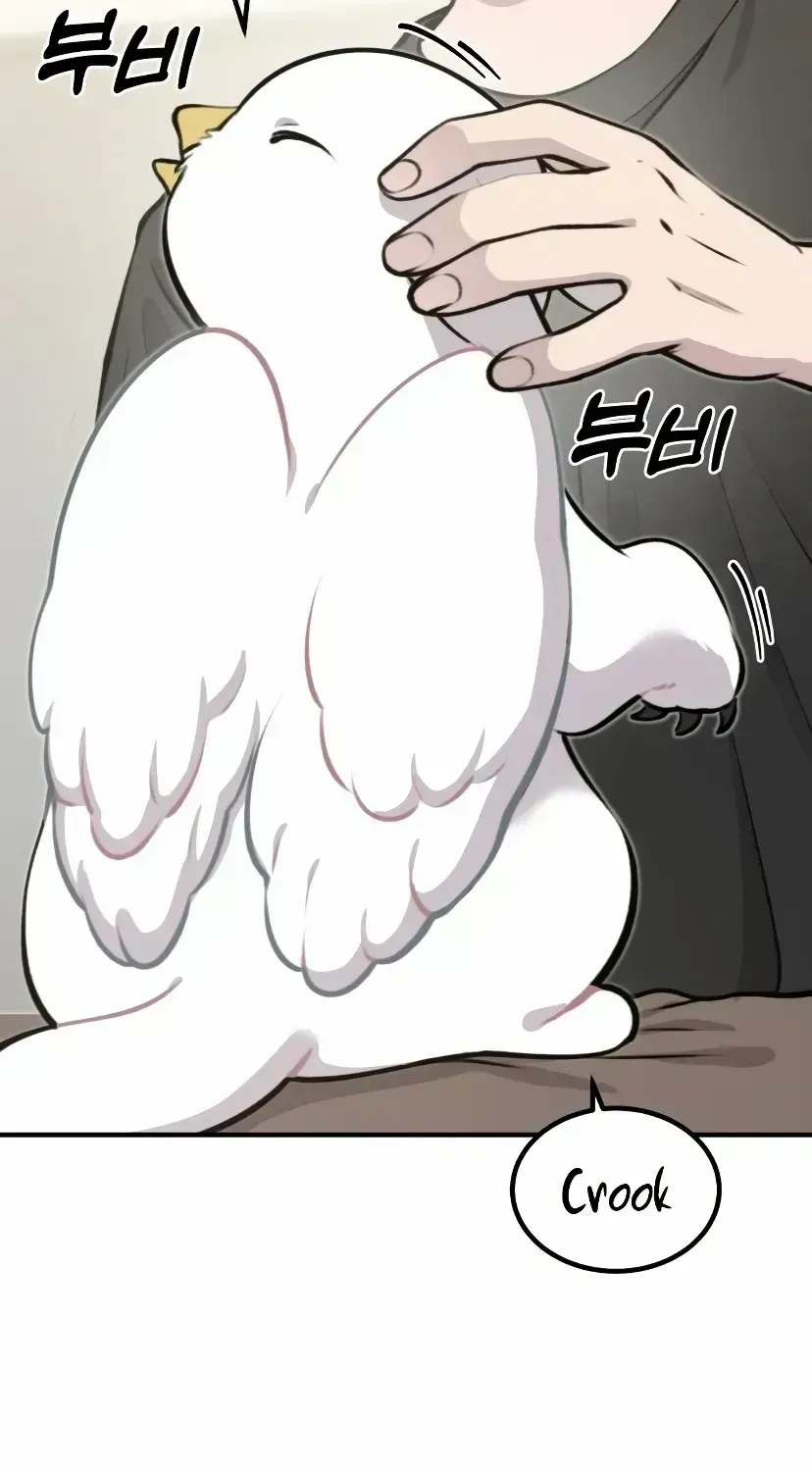Hello, Griffin the Fluffy Bird! Chapter 1.4 page 43 - 