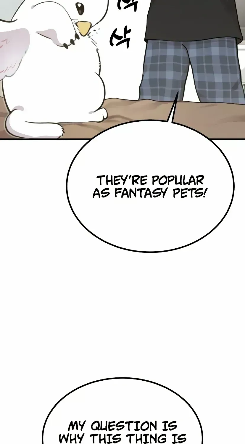 Hello, Griffin the Fluffy Bird! Chapter 1.5 page 34 - 