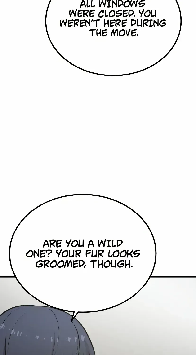 Hello, Griffin the Fluffy Bird! Chapter 1.5 page 37 - 