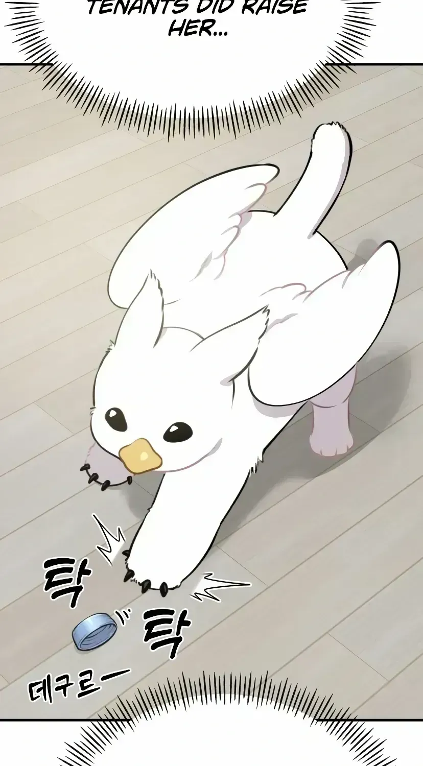 Hello, Griffin the Fluffy Bird! Chapter 1.5 page 72 - 