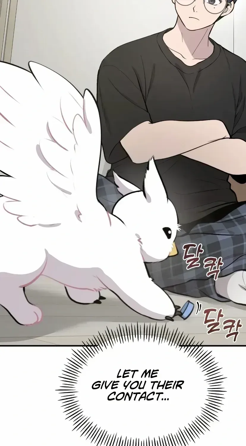 Hello, Griffin the Fluffy Bird! Chapter 1.5 page 74 - 