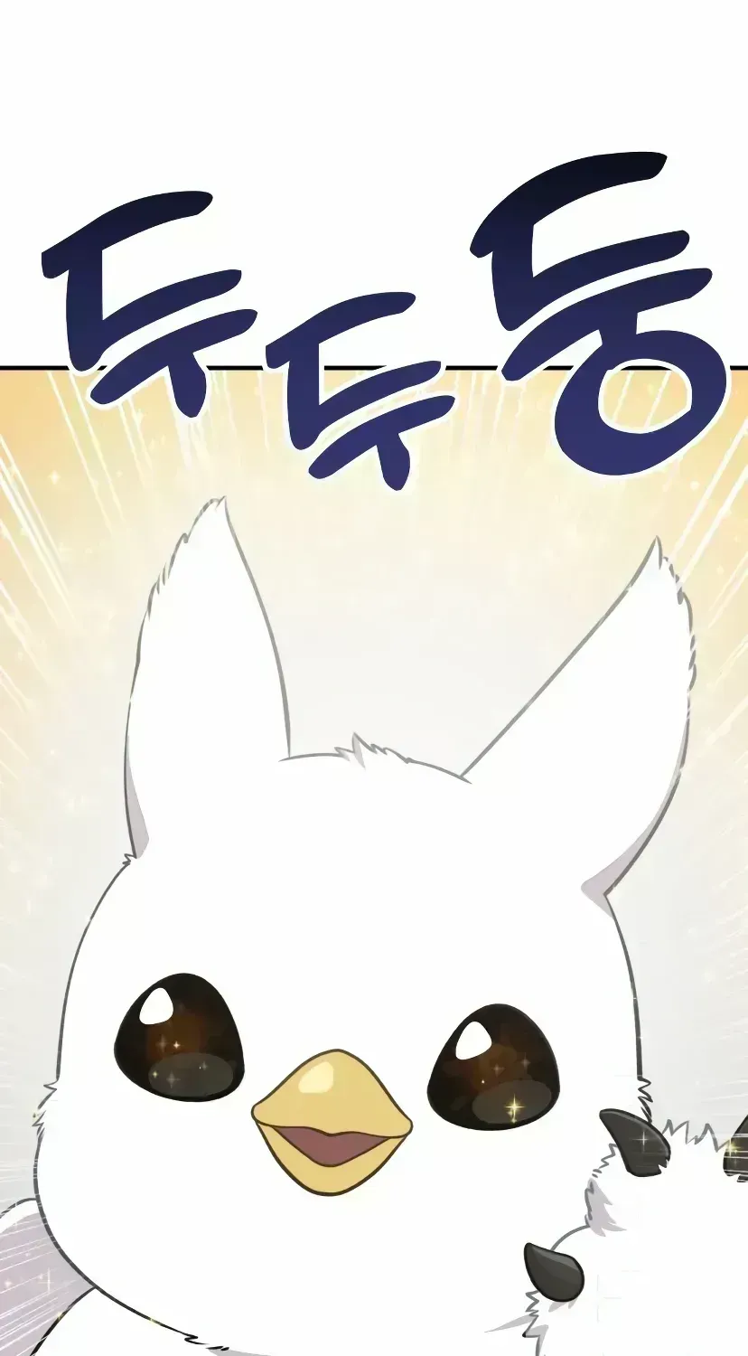 Hello, Griffin the Fluffy Bird! Chapter 1.6 page 17 - 