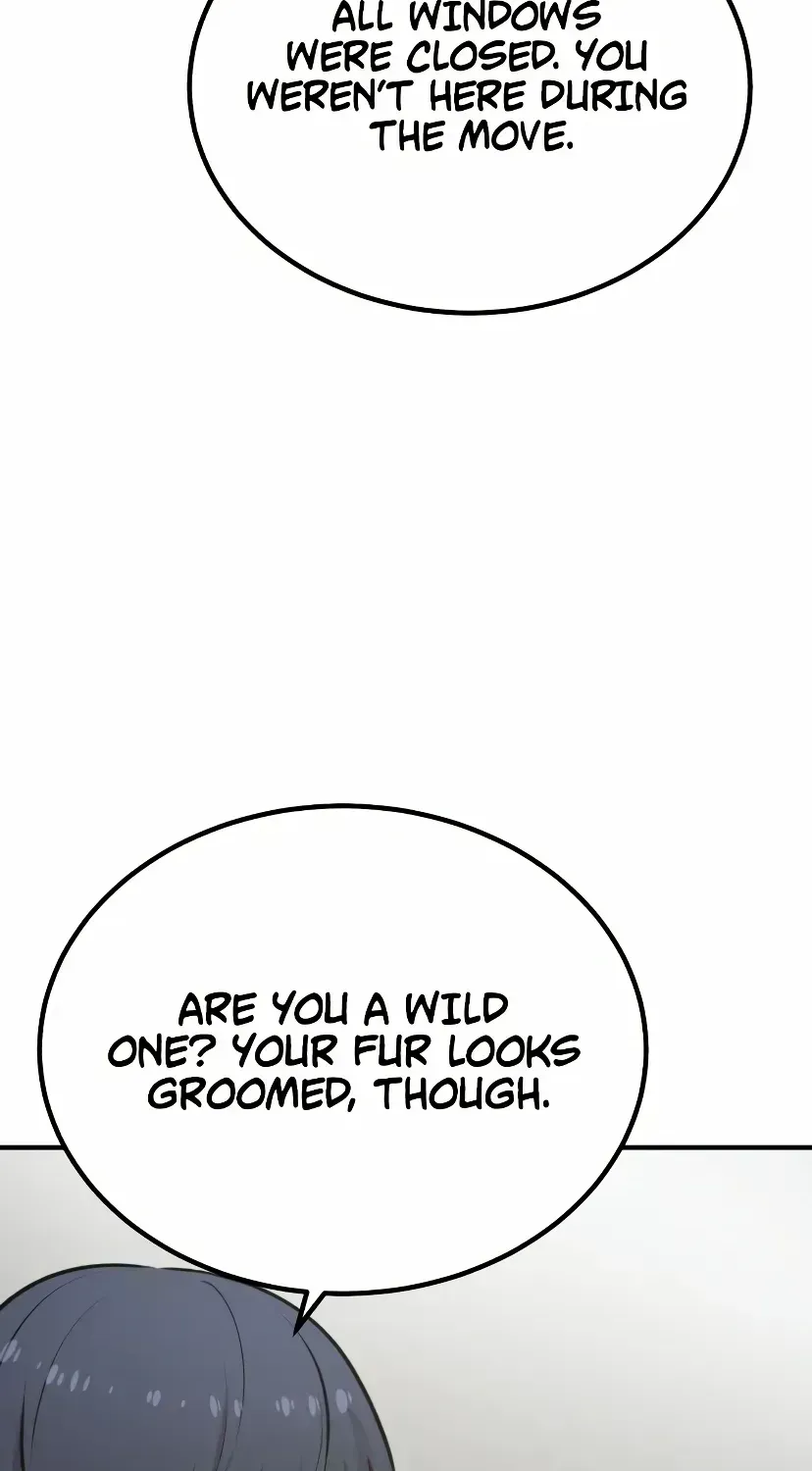 Hello, Griffin the Fluffy Bird! Chapter 1.6 page 37 - 