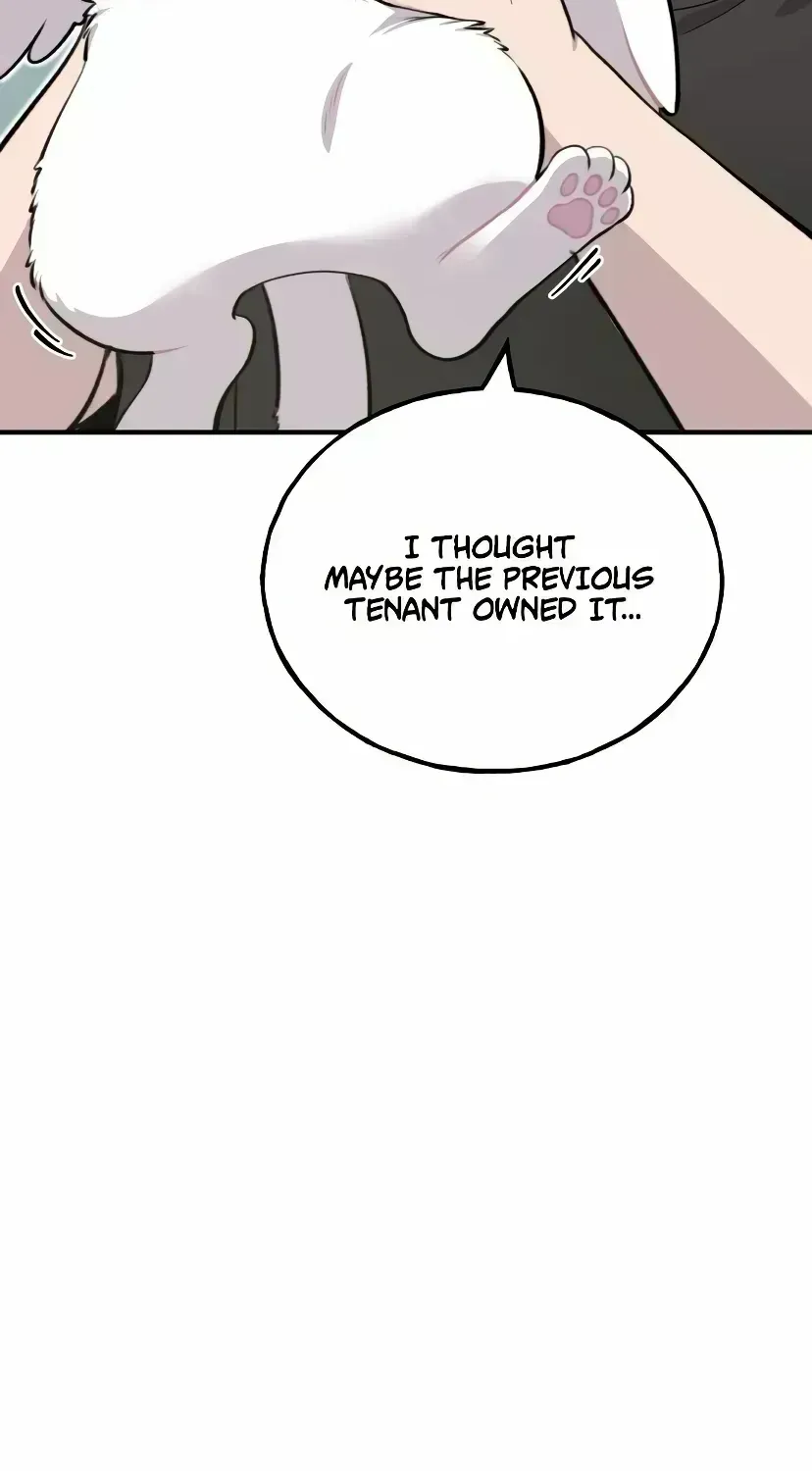 Hello, Griffin the Fluffy Bird! Chapter 1.6 page 64 - 