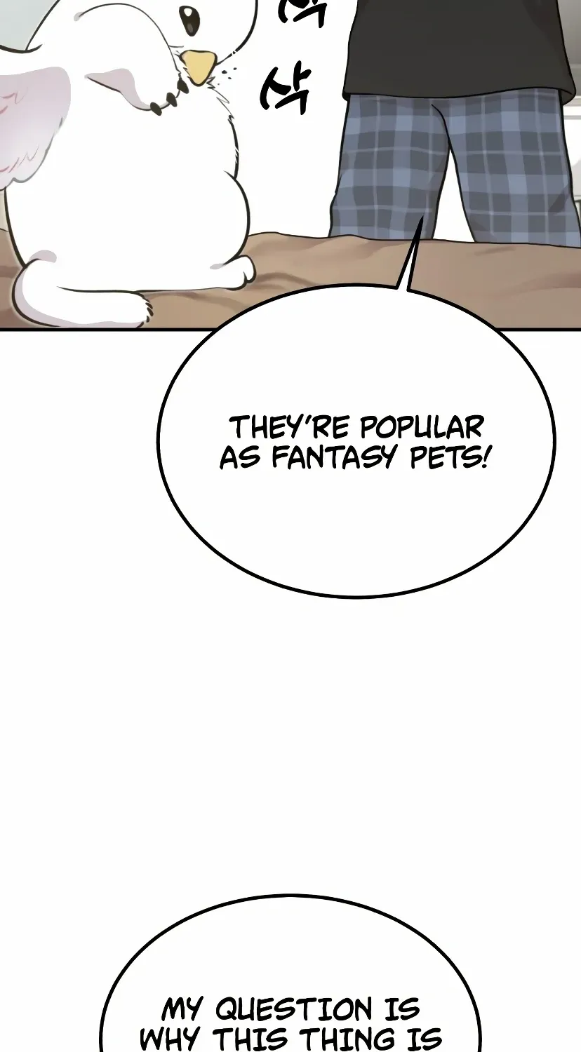 Hello, Griffin the Fluffy Bird! Chapter 1 page 34 - 
