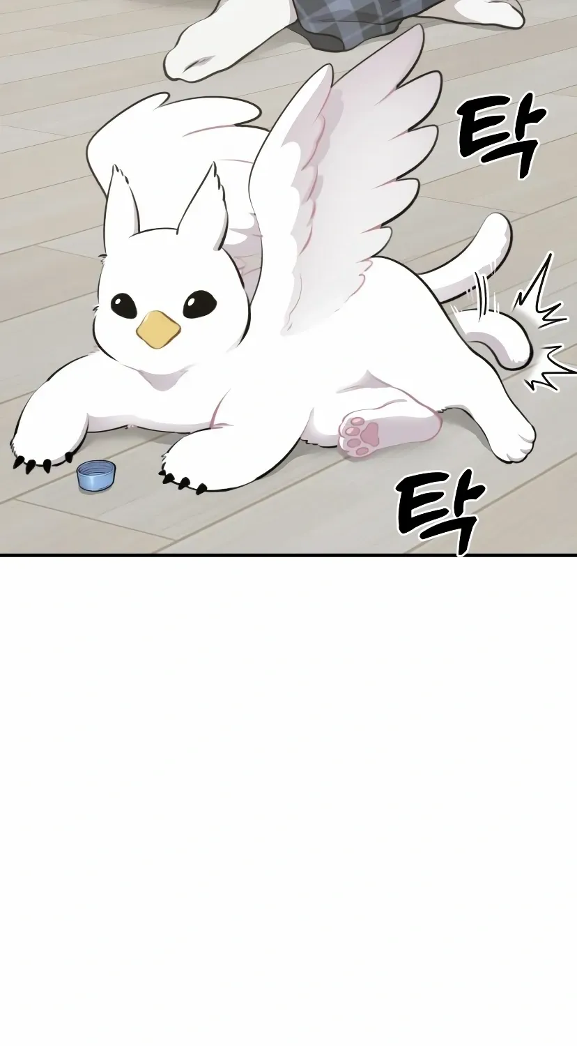 Hello, Griffin the Fluffy Bird! Chapter 1 page 84 - 