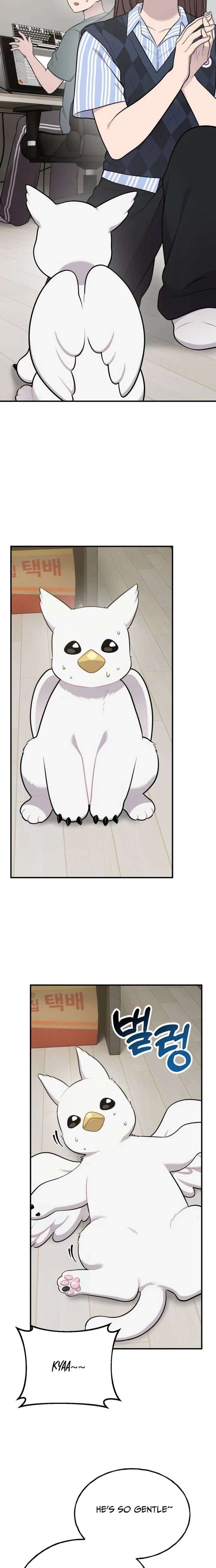 Hello, Griffin the Fluffy Bird! Chapter 31 page 13 - 