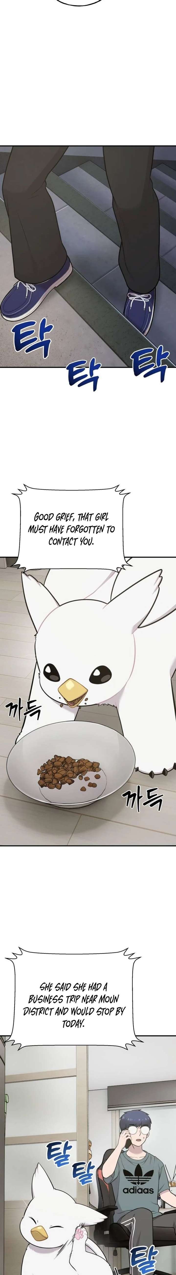 Hello, Griffin the Fluffy Bird! Chapter 31 page 6 - 