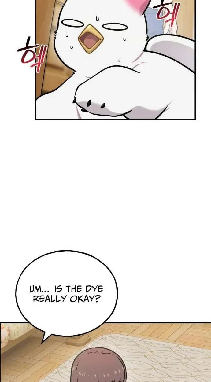 Hello, Griffin the Fluffy Bird! Chapter 50 page 12 - 